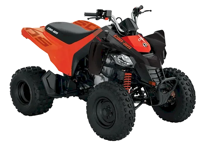 Can-am DS