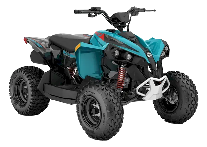 Can-am Renegade EFI